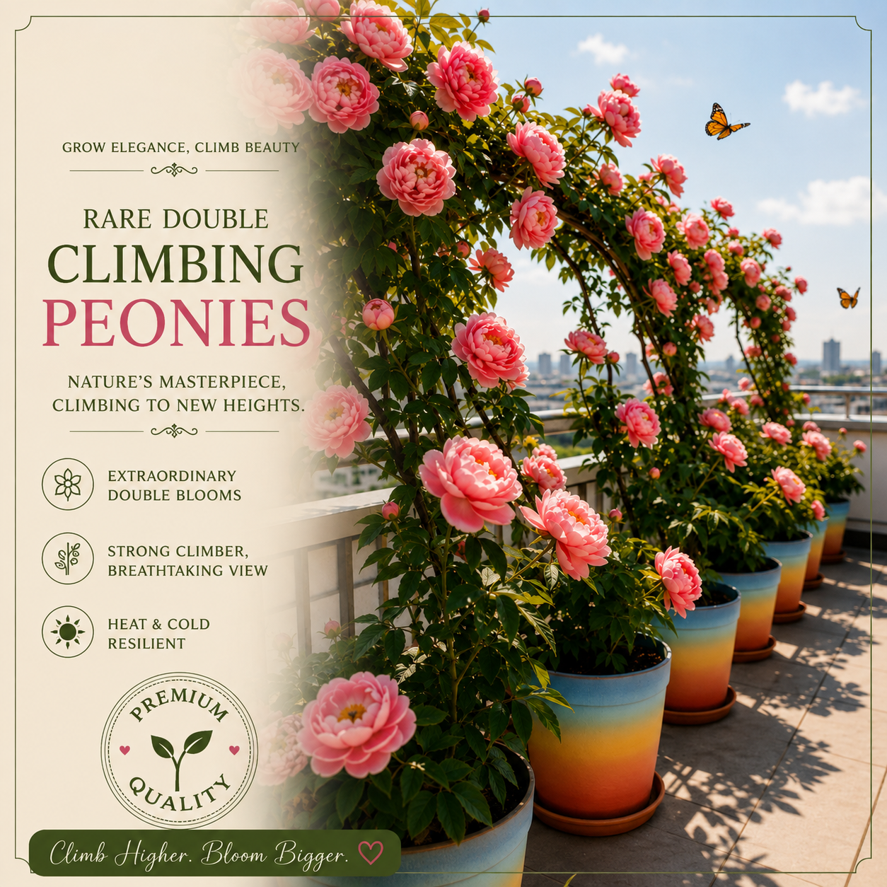 🌸 Rare Climbing Peony Bulbs🪴Big Full Blooms, Cold Hardy Perennial, Easy to Grow Garden Favorite🔥Buy 6 Get 6 Free Bulbs🔥
