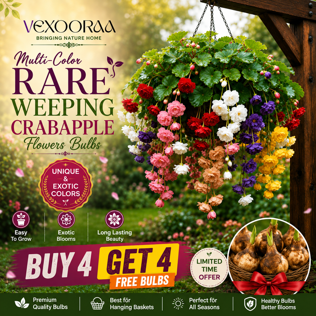 🌸【7 days germination】Last Day Up to 50% OFF💐Muti-Color Rare Weeping Crabapple Flowers Bulbs🌸Buy 4 Get 4 Free Bulbs🌸
