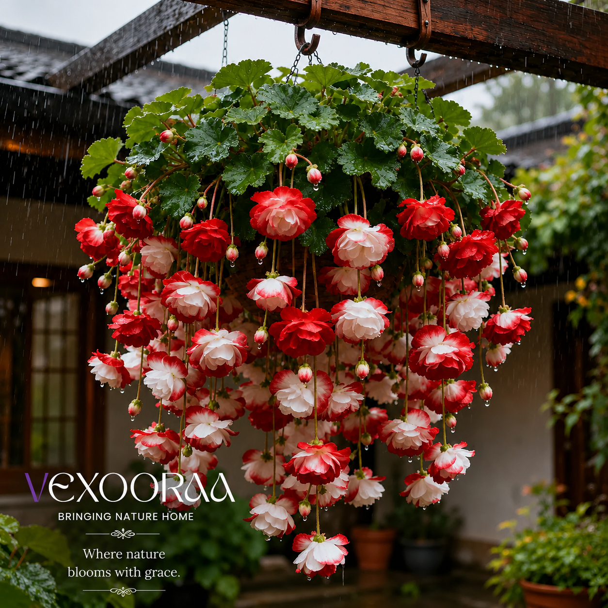 🌸【7 days germination】Last Day Up to 50% OFF💐Muti-Color Rare Weeping Crabapple Flowers Bulbs🌸Buy 4 Get 4 Free Bulbs🌸