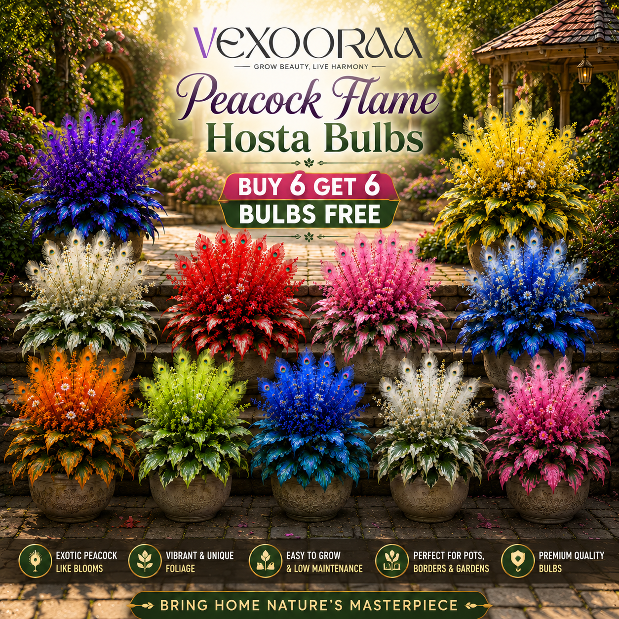 🏠🤗 Peacock Flame Hosta Bulbs💥 Stunning Colors That Brighten Any Space🔥Buy 6 Get 6 Free Bulbs🔥