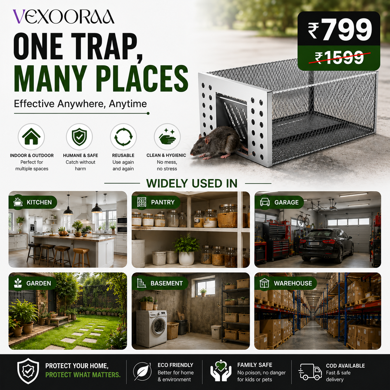 🥰HOT SALE 50% OFF🥰 Humane Live Catch & Release Mouse Trap 🐭