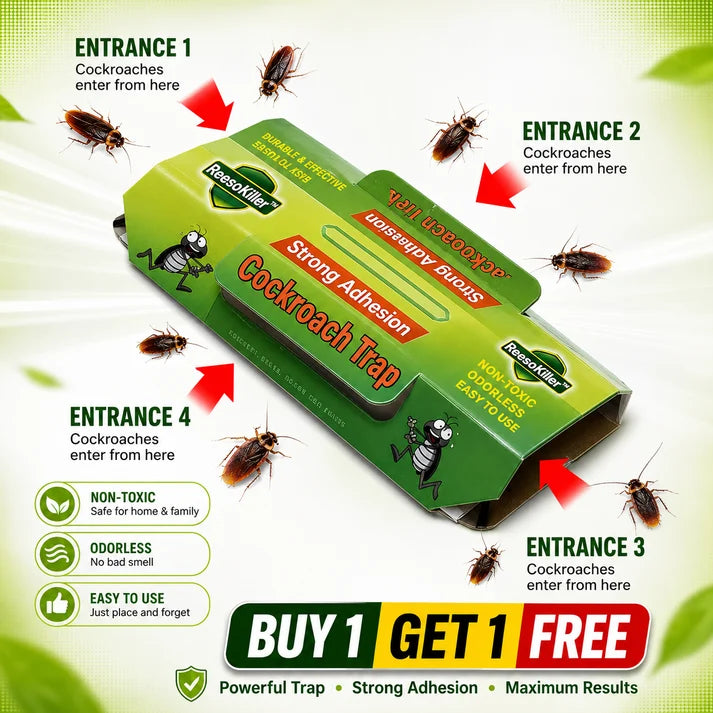 ✨HOT SELL 50% Off TODAY✨ BUY 1 GET 1 FREE ✨ LIMITED OFFER 🔥Cockroach Trap 🪳(20 PCS) | Strong Adhesive | Non-Toxic & Odorless | Easy to Use | Indoor Roach Killer