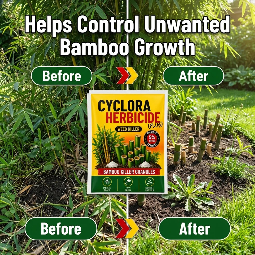 ✨HOT SELL 60% Off TODAY✨LIMITED OFFER🔥| CYCLORA HERBICIDE GRANULES |🔥BUY 1 GET 2 FREE🔥