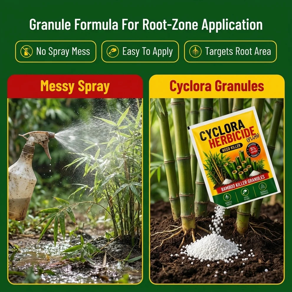 ✨HOT SELL 60% Off TODAY✨LIMITED OFFER🔥| CYCLORA HERBICIDE GRANULES |🔥BUY 1 GET 2 FREE🔥